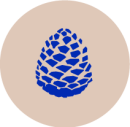 PINYONS_UnaVisio_icon_1
