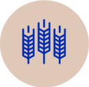 PINYONS_UnaVisio_icon_2