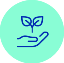 PRO_Malwa_LaRevolucio_icon_3