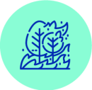 PRO_Soriguera_Impacte_icon_2